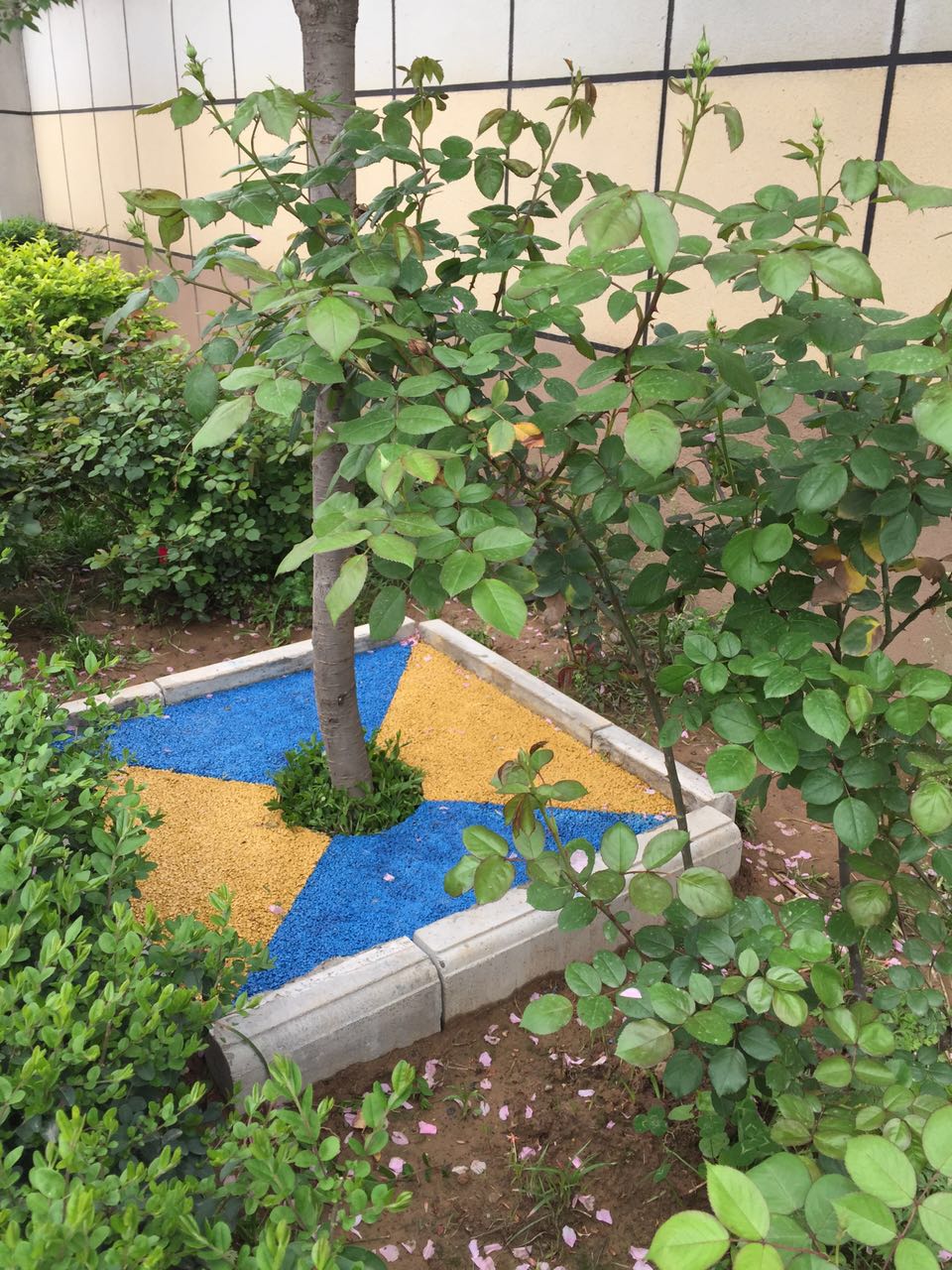 鳳縣樹池樣例