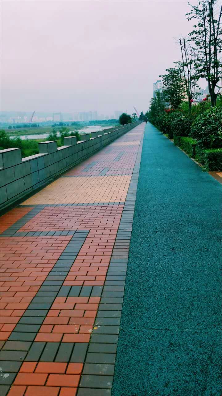 高新三路至八路透水健康步道