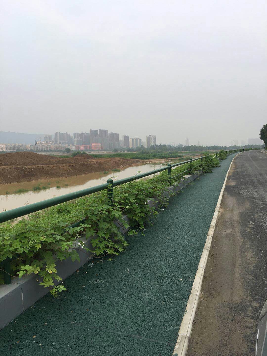 海棠體育運動公園