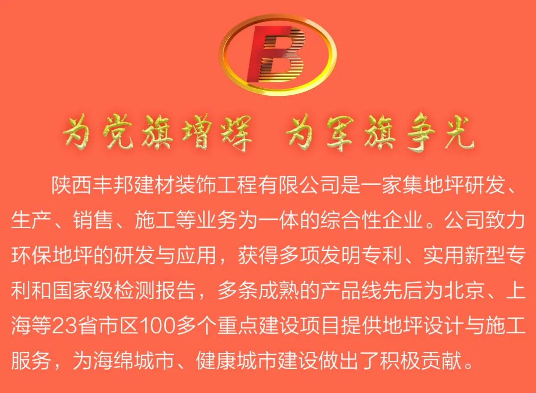 陜西豐邦黨支部喜評五星級黨組織