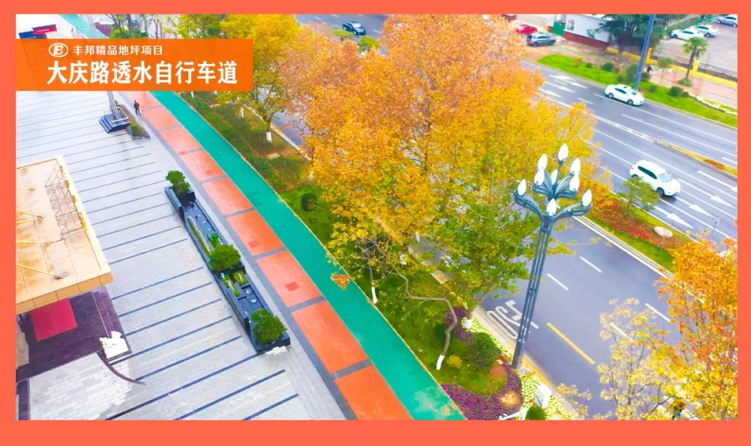 陜西豐邦黨支部喜評五星級黨組織