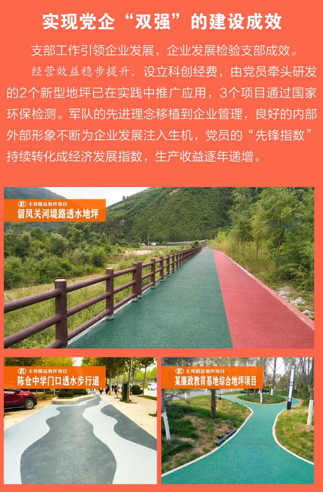 陜西豐邦黨支部喜評五星級黨組織