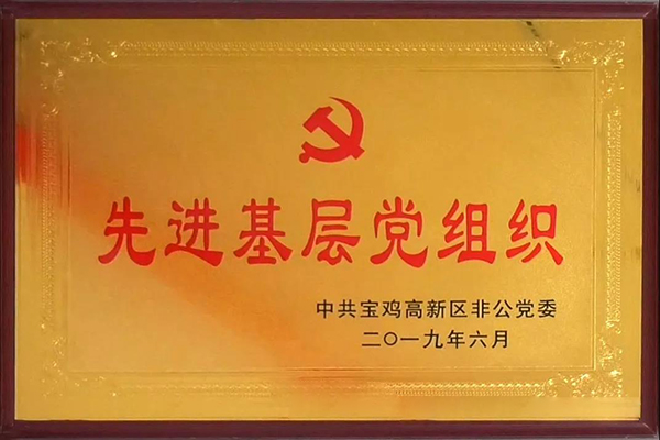 2019先進基層黨組織